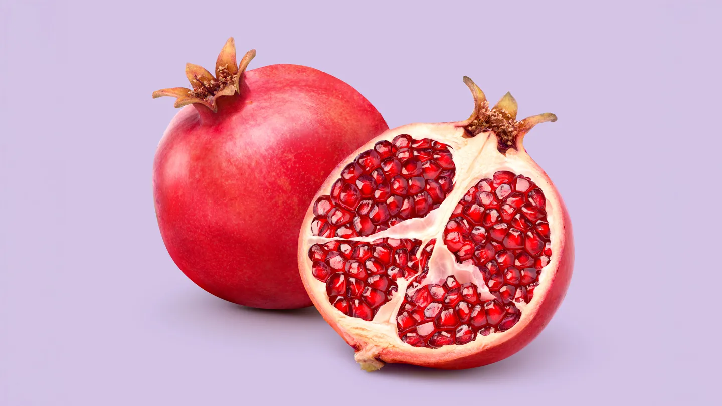 Ut aliquam architect